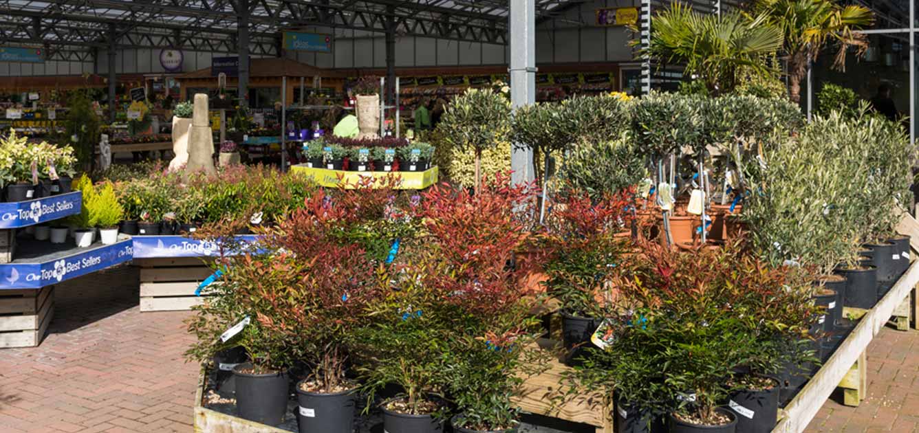 plant-guarantee-1336 plant-guarantee-1336