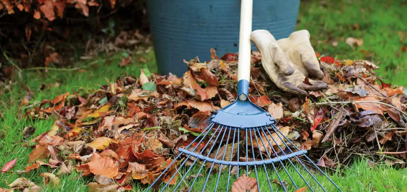 october-this-month-gardening-advice october-this-month-gardening-advice