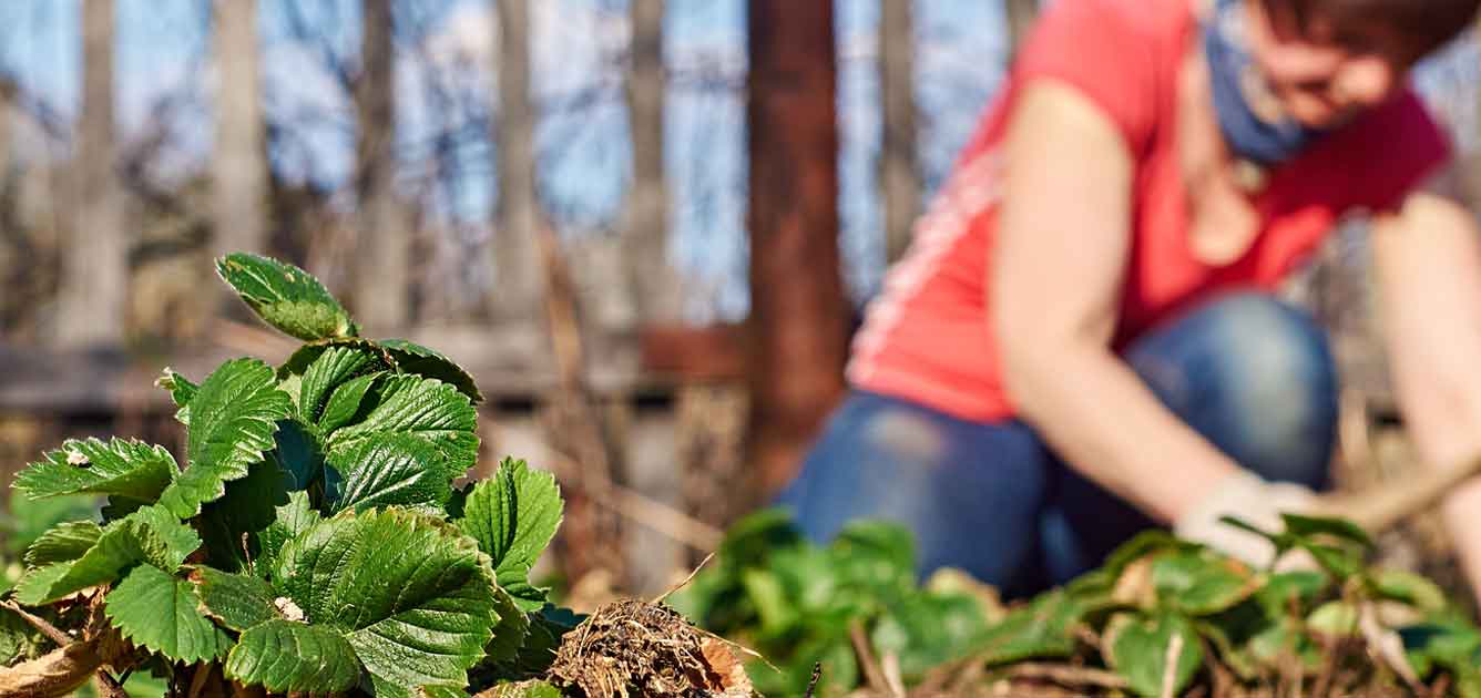 growyourown-main-1336 growyourown-main-1336