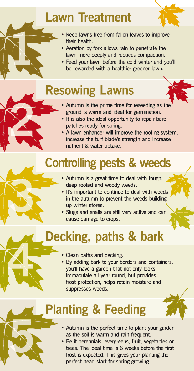 Autumn Gardening Landing Page