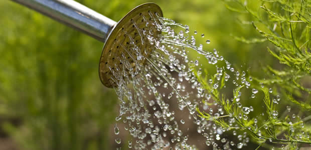 water-harvesting-blog water-harvesting-blog