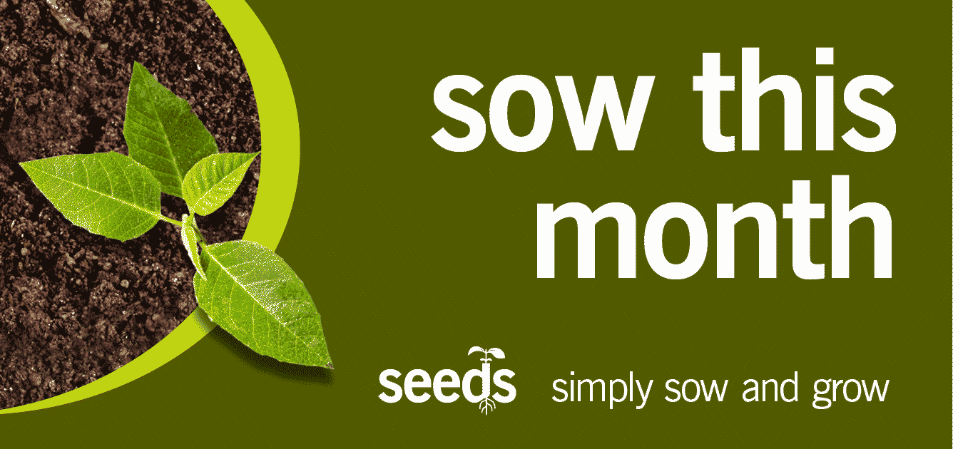 sow-this-month-images-header sow-this-month-images-header