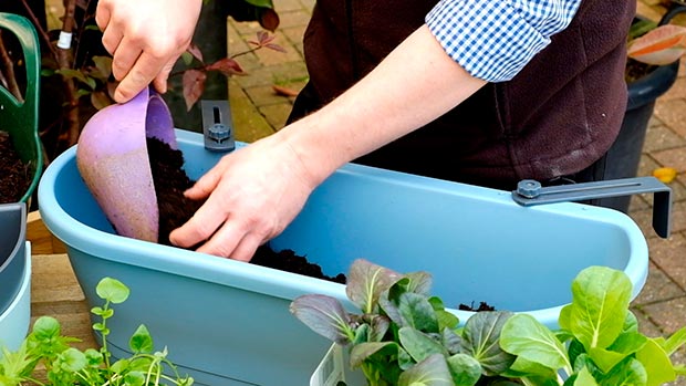 Step-2---Fill-a-third-with-potting-compost