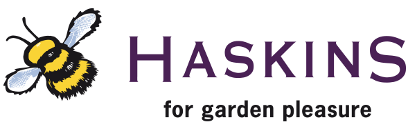 haskins-logo-hdef