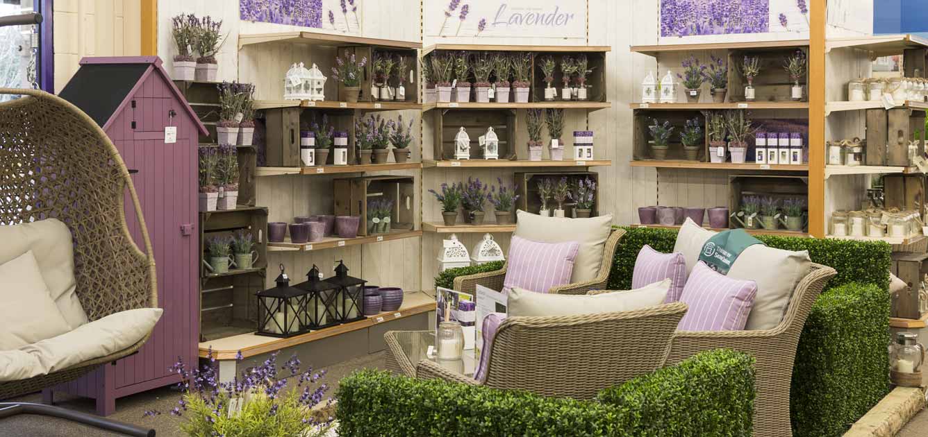 instore-lavendar-1336 instore-lavendar-1336