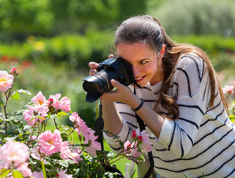 Haskins-encourages-gardeners-to-share-photos-of-their-best-rose-on-social-media Haskins-encourages-gardeners-to-share-photos-of-their-best-rose-on-social-media
