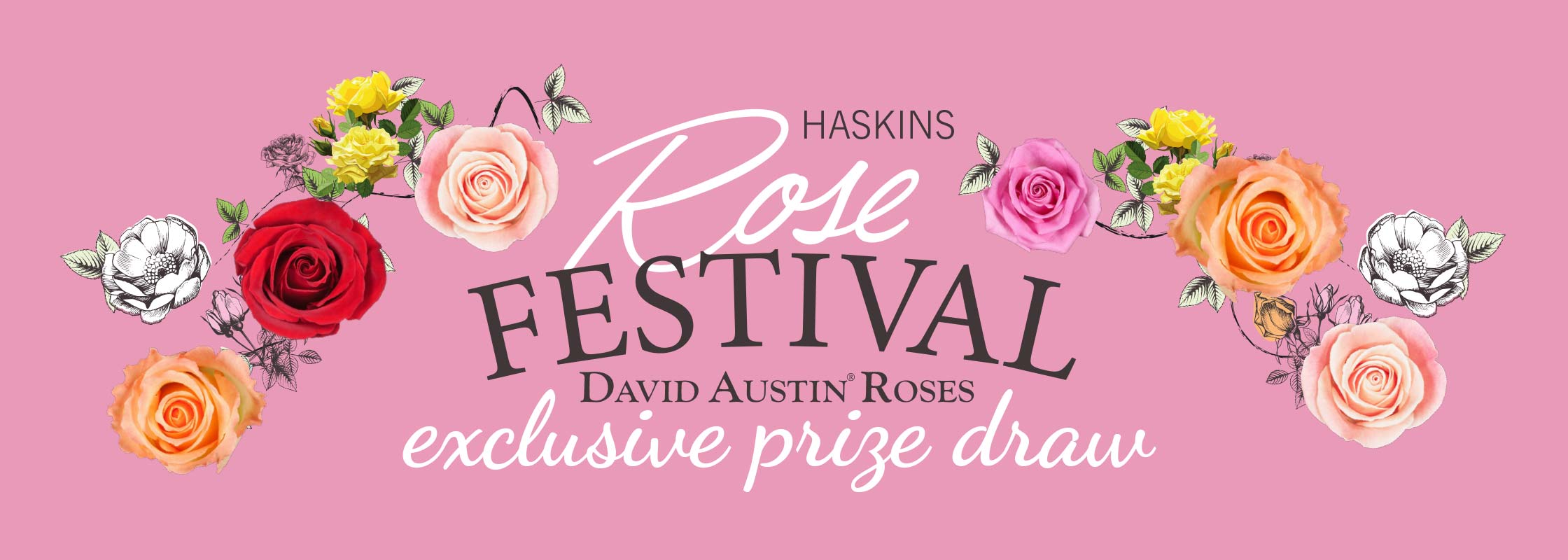 rose-festival-prize-draw-9587