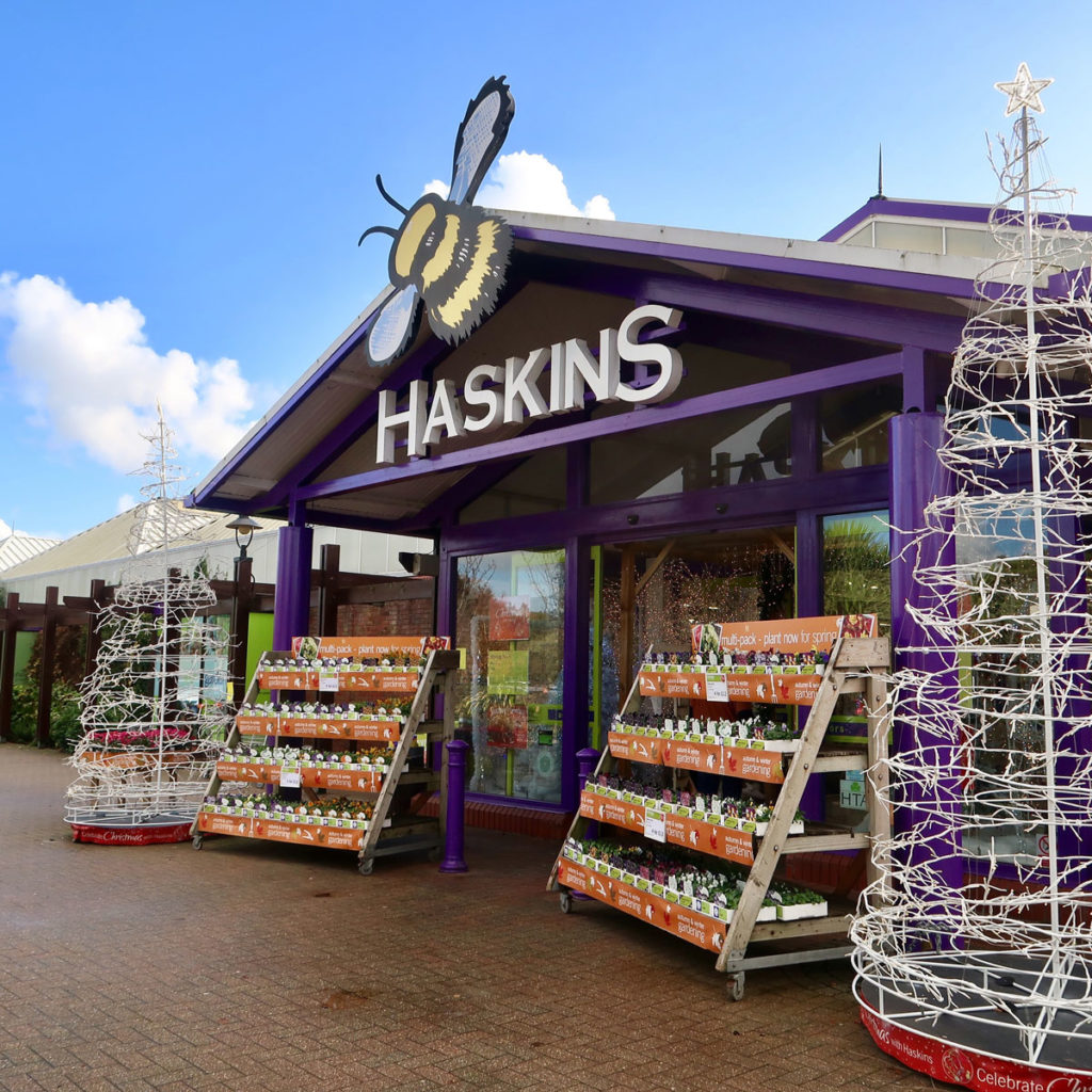 Haskins-Garden-Centres-support--Purple--Tuesday’-for-inclusive-shopping-1