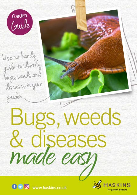 bugs-and-weeds-care-leaflet-1