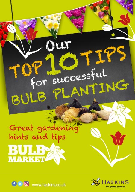 bulb-top-10-care-leaflet-1