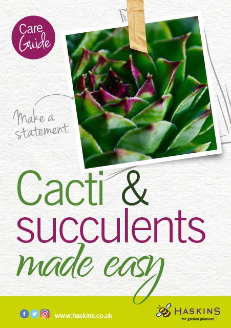 cacti-and-succulent-care-leaflet-1 cacti-and-succulent-care-leaflet-1