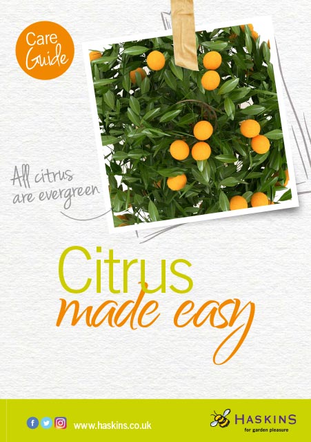 citrus-care-leaflet-1
