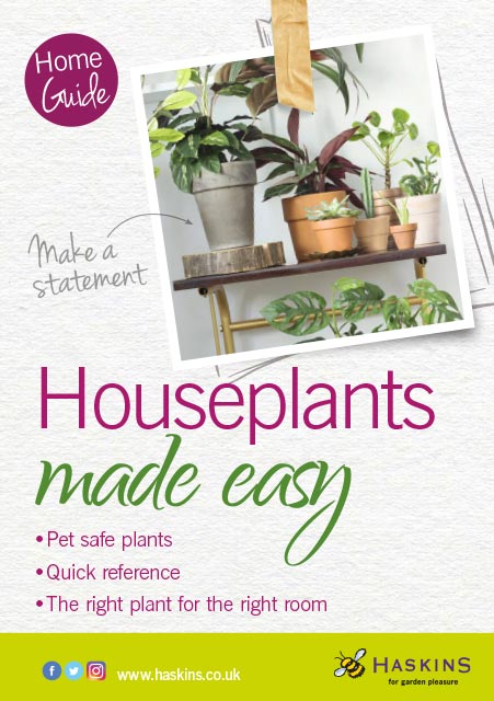 houseplants-made-easy-leaflet-1