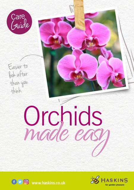 orchid-care-leaflet-1