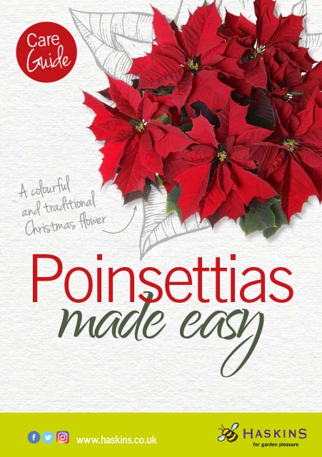 poinsettia-care-leaflet-1