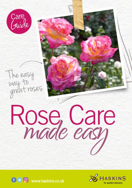 rose-care-leaflet-1