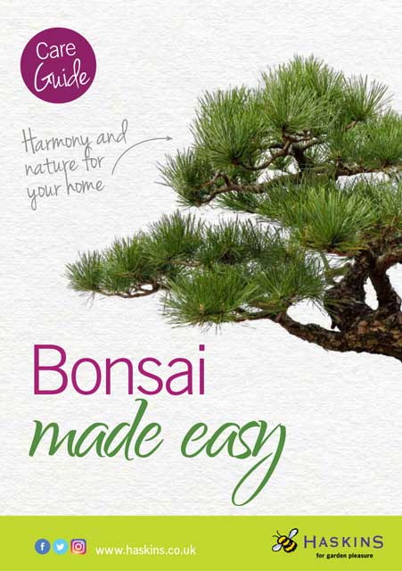 bonsai-leaflet-cover