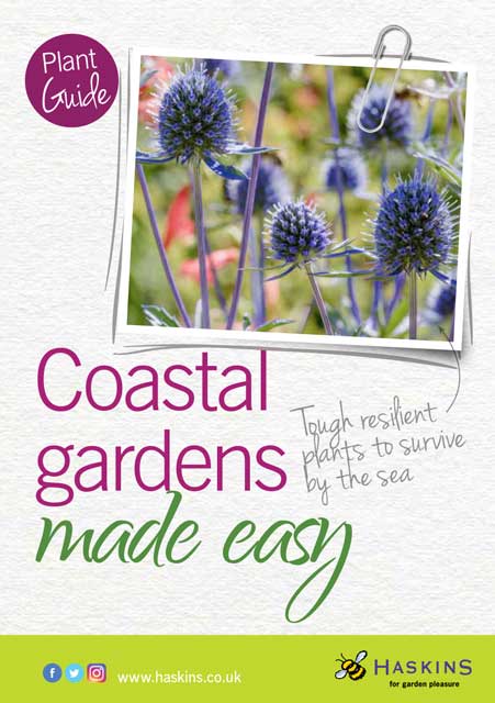coastal-leaflet-cover