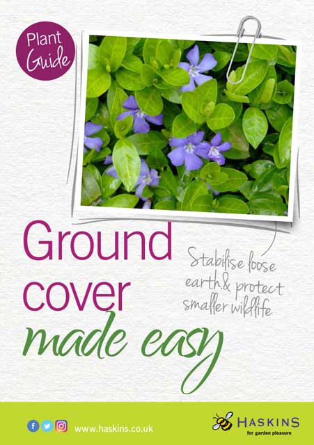 ground-leaflet-cover