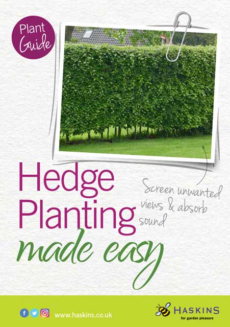 hedge-leaflet-cover