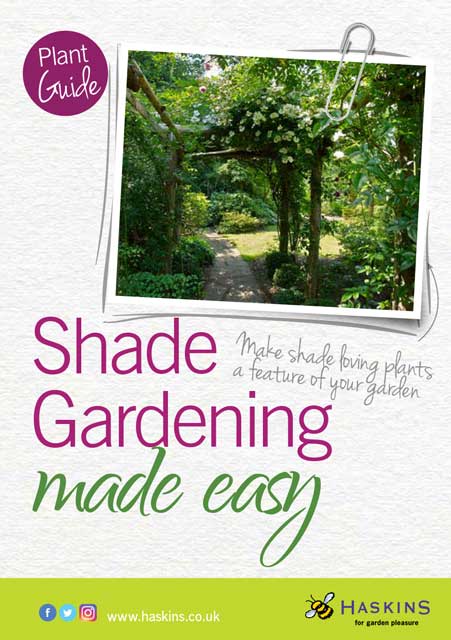 shade-leaflet-cover