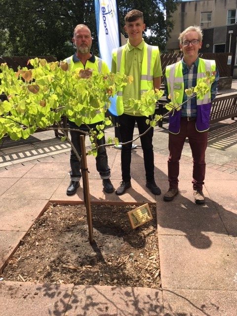 Haskins in Ferndown donates tree to Poole Hospital to celebrate 50 years since Her Majesty The Queen opened the new hospital