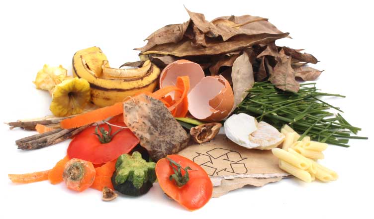 compost-what-to-include-800 compost-what-to-include-800