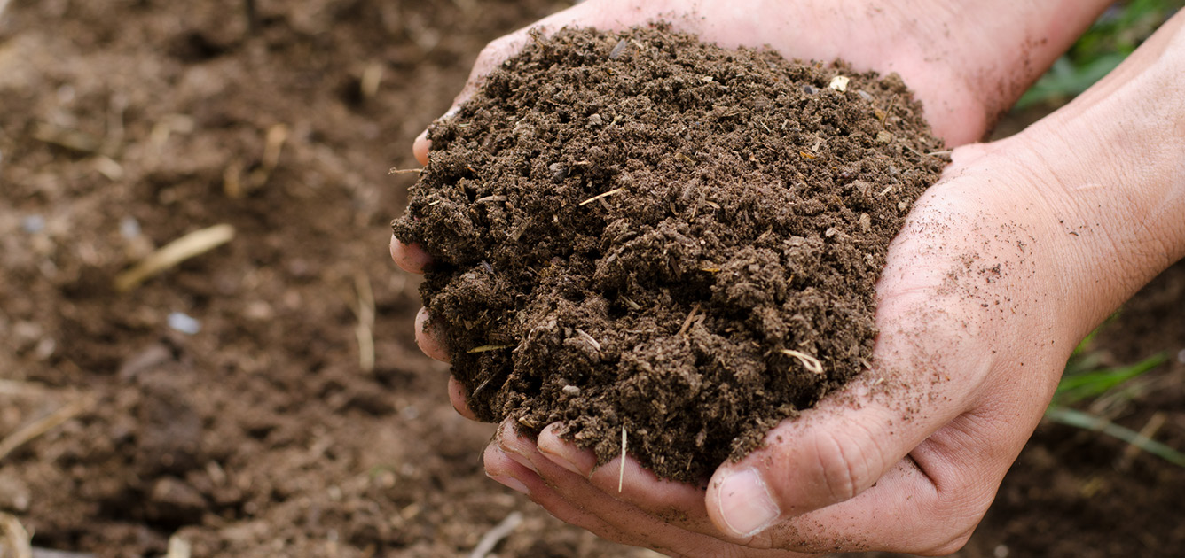 making-your-own-compost4 making-your-own-compost4