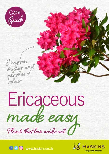 ericaceous-made-easy-leaflet