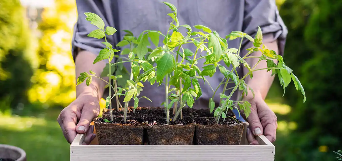 april22-this-month-gardening-advice april22-this-month-gardening-advice