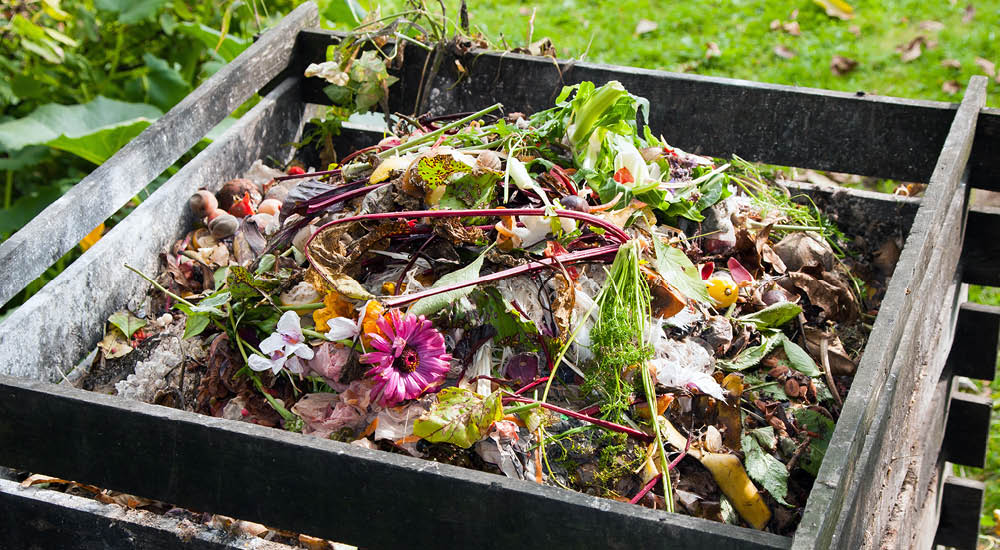 home-compost-1000x550