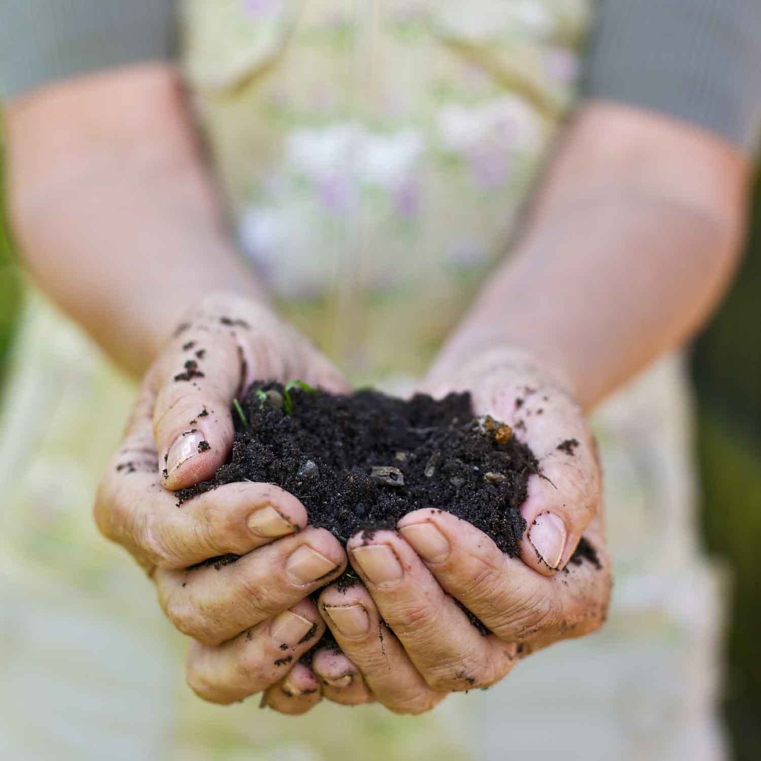 peat-free-hands