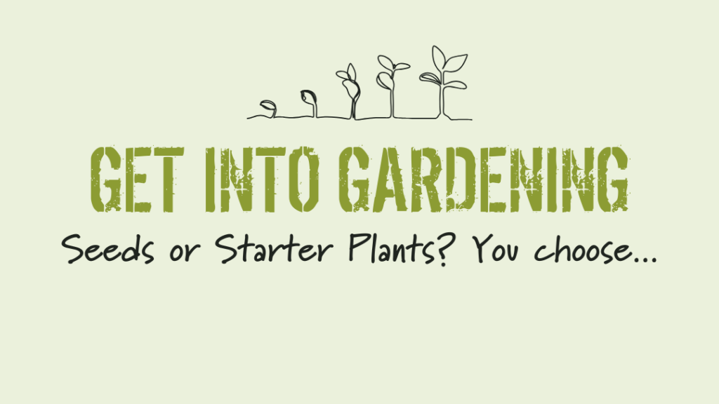 GIG Seeds or Starter Plants
