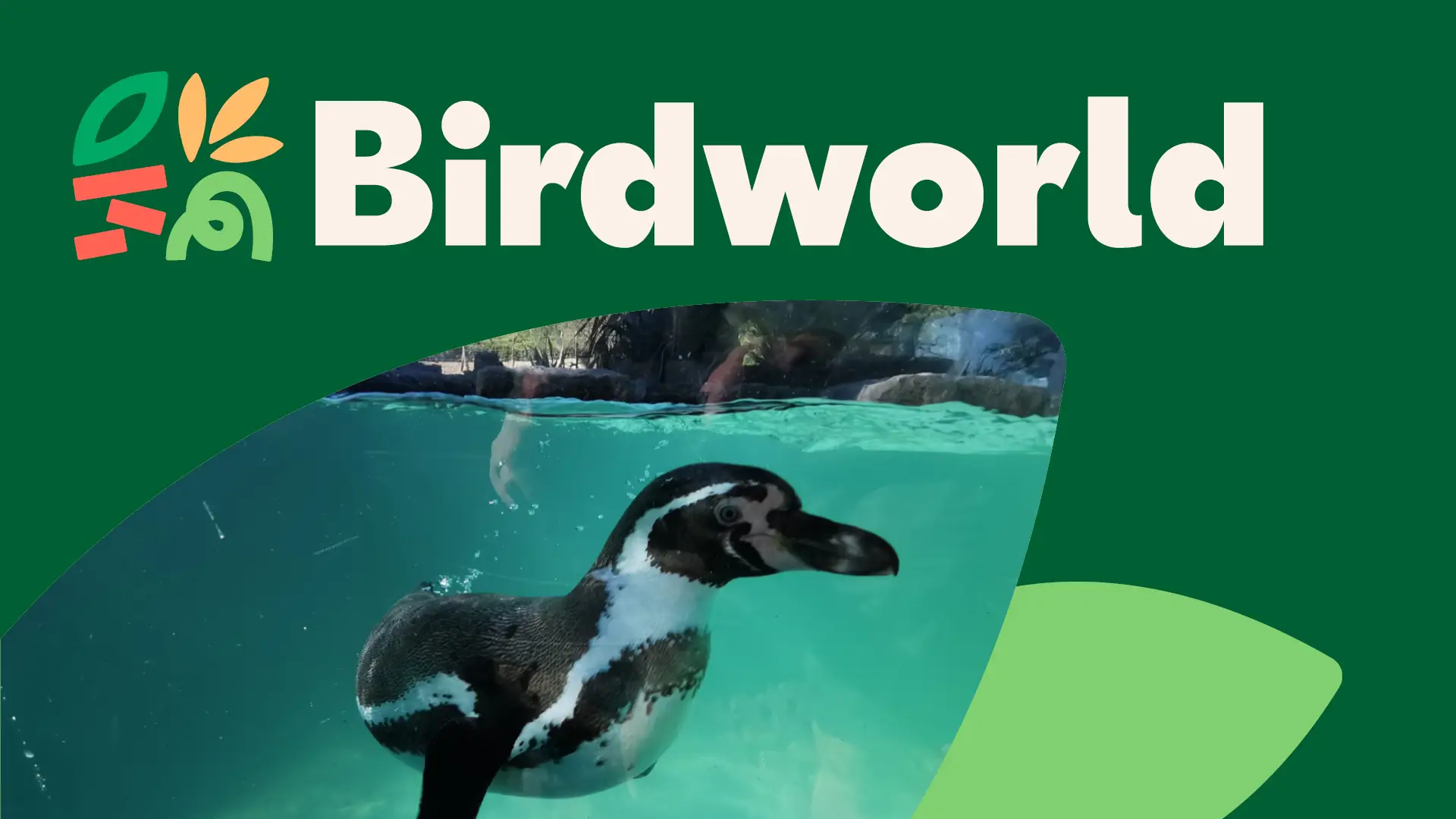Birdworld