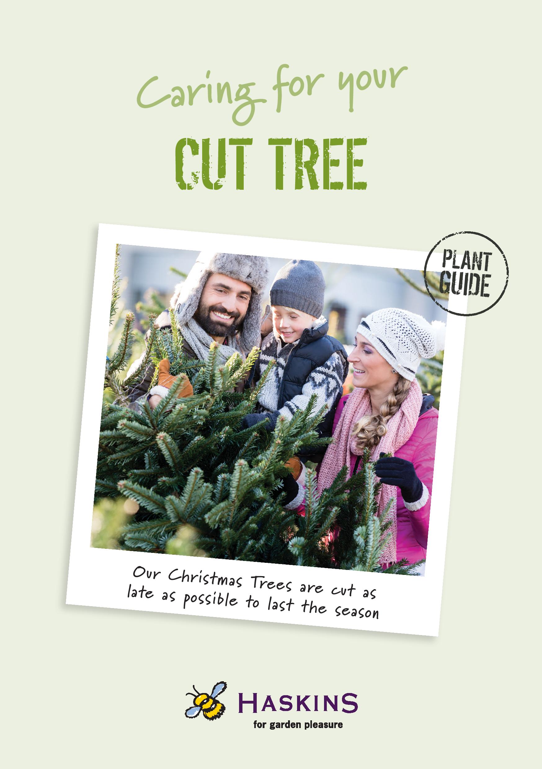 25 11 Plant Guide Cut Tree A5P-page-001