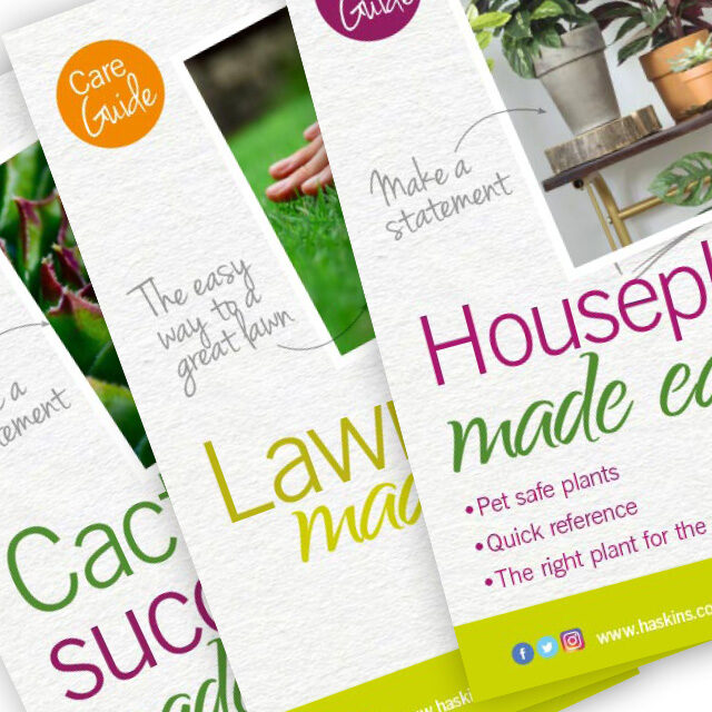 care-leaflets-guides-640