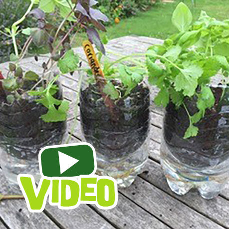 gg-self-watering-pots-video