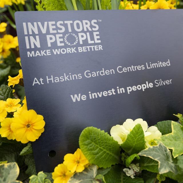 investors-in-people-silver-640 investors-in-people-silver-640
