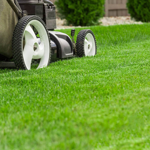 lawn-tips-mow-640