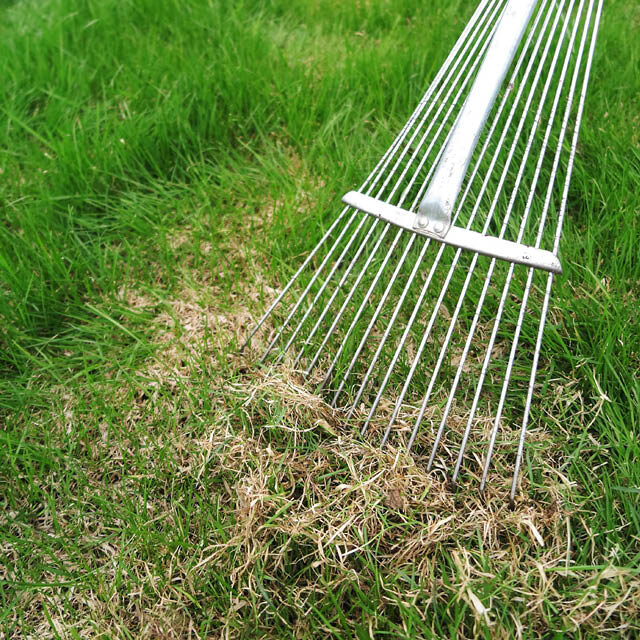 lawn-tips-rake-640