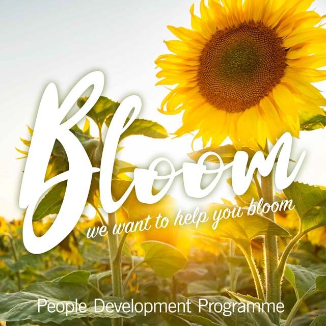 workingfor-bloom-development-640